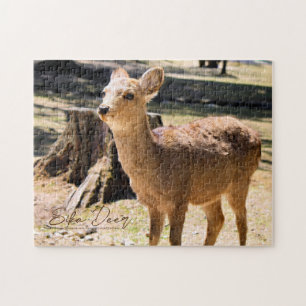Puzzle Sika Deer dans le parc Nara