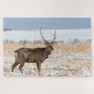 Puzzle Sika Stag dans un champ neigeux Japon