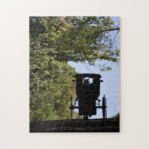 Puzzle Silhouette avec des erreurs amish de jour