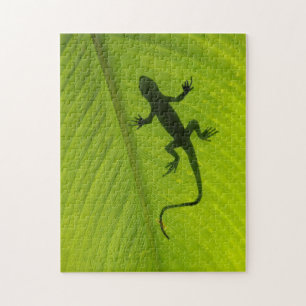 Puzzle Silhouette de Gecko