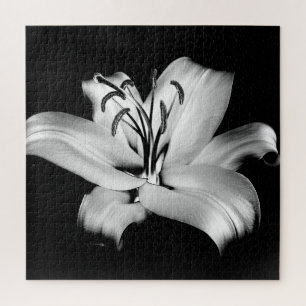 Puzzle Silver Lily : Élégance Florale Monochrome.