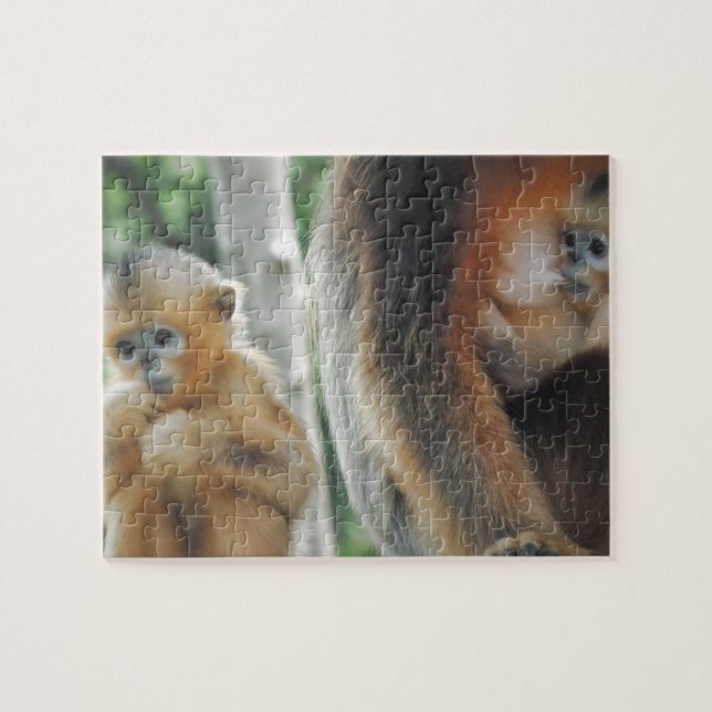 Puzzle Singe de bébé avec sa mère (Horizontal)