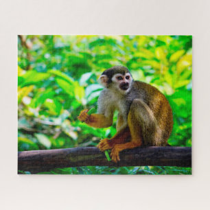 Puzzle Singe écureuil.