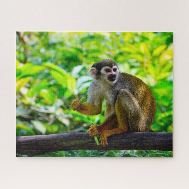 Puzzle Singe écureuil. (Horizontal)