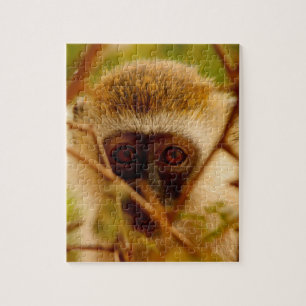 Puzzle Singe effronté.