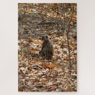 Puzzle Singe en saison sèche