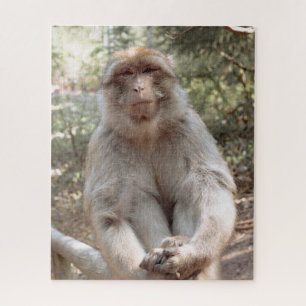Puzzle Singe mignon