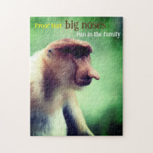 Singe proboscis avec gros nez