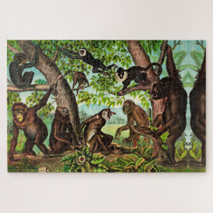 Puzzle Singes