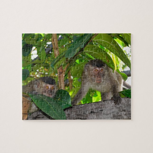 Puzzle Singes dans la forêt tropicale du Bornéo (Horizontal)