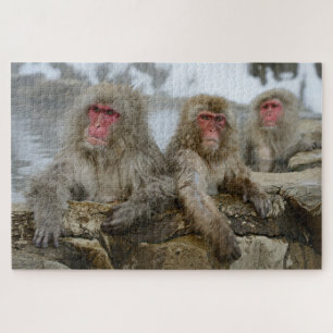 Puzzle Singes des neiges dans une piscine de printemps ch