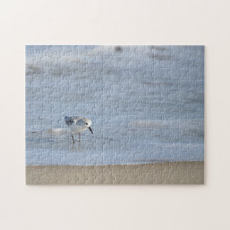 Puzzle Single Sandpiper walking on beach