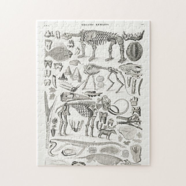 Puzzle Skeleton Skeleton Halloween animal (Vertical)