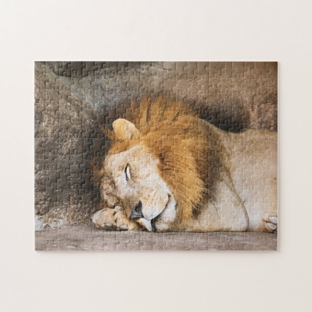 Puzzle Sleepy Dream Lion adulte sur les rochers (Horizontal)