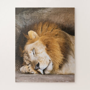 Puzzle Sleepy Dream Lion adulte sur les rochers