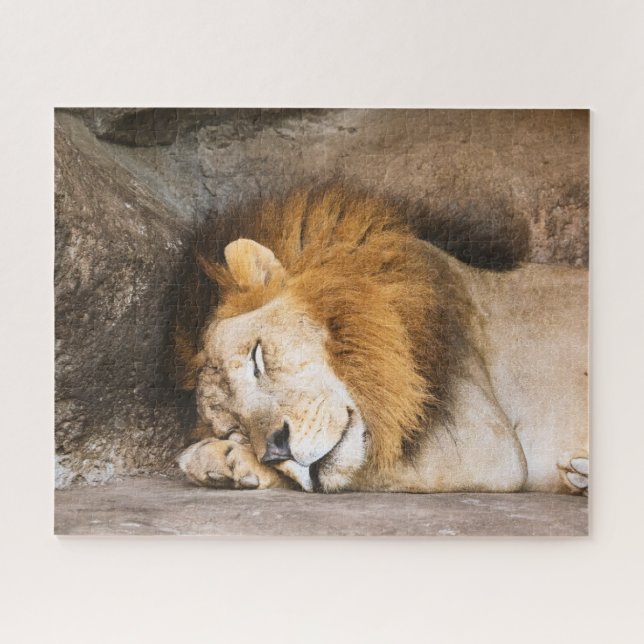 Puzzle Sleepy Dream Lion adulte sur les rochers (Horizontal)