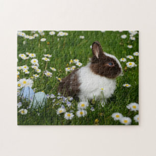 Puzzle Small Brown and White Bunny in Flowers