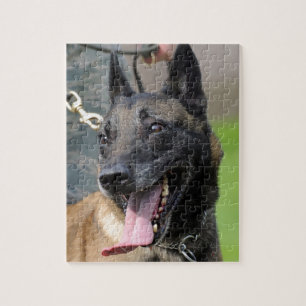 Puzzle Smiling