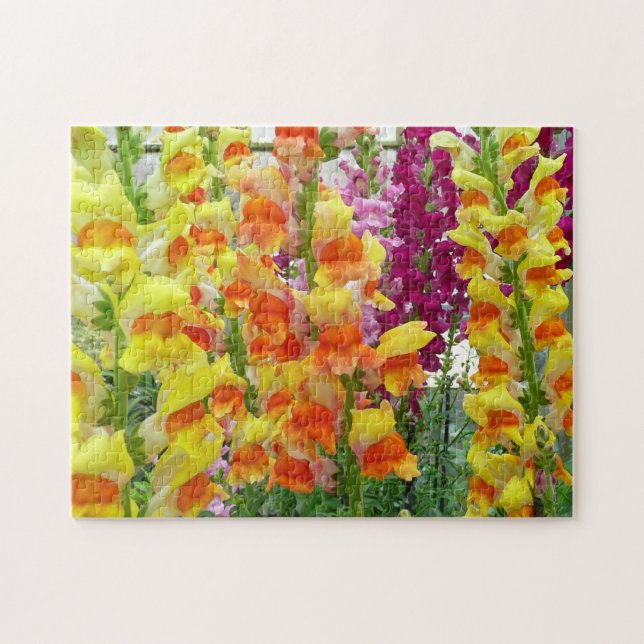 Puzzle Snapdragons colorés floraux (Horizontal)