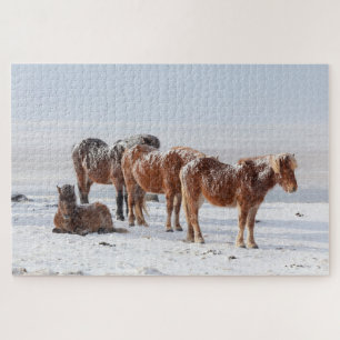 Puzzle Snow Covered Icelandic Horses