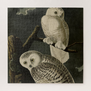 Puzzle Snowy Owl, John James Audubon's Birds of America
