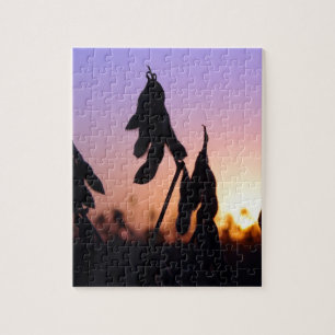 Puzzle Soja au coucher du soleil