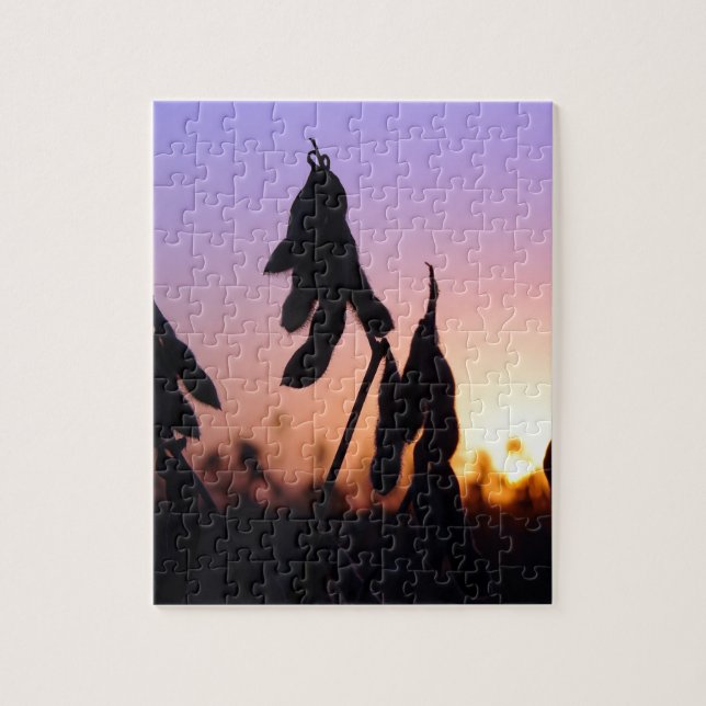 Puzzle Soja au coucher du soleil (Vertical)