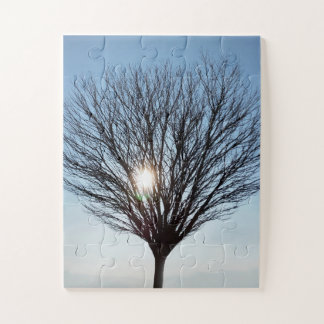 Puzzle soleil d'hiver