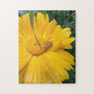 Puzzle Soleil Souci Fleurit avec Petit Visiteur