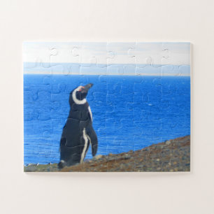 Puzzle solo de pingouin