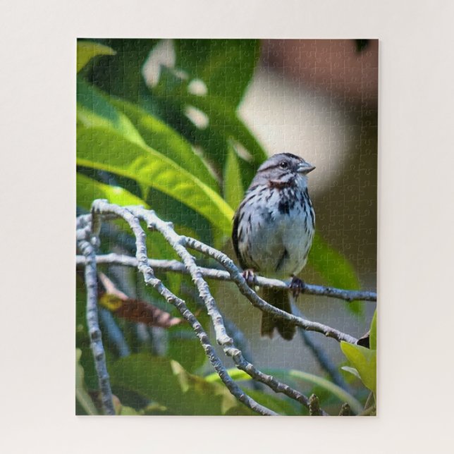 Puzzle Song Sparrow (Vertical)