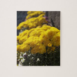 Puzzle Soucis jaunes se prélassent au soleil