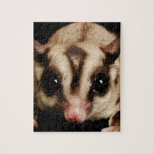 Puzzle Sougar Glider