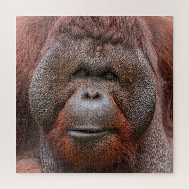 Puzzle Soul Beneath the Flanges – Orangutan Face (Vertical)
