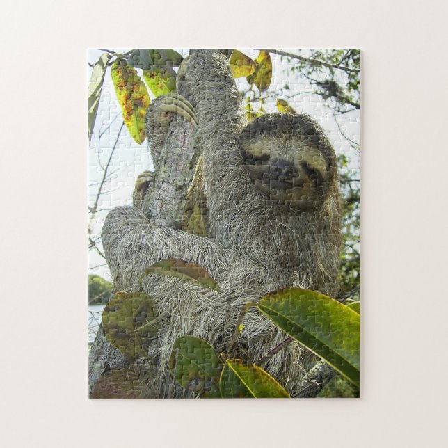 Puzzle souriant avec boîte cadeau (Vertical)