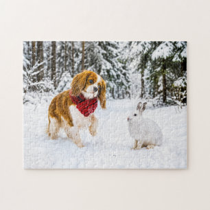 Puzzle Spaniel rencontre un lièvre des neiges dans une fo