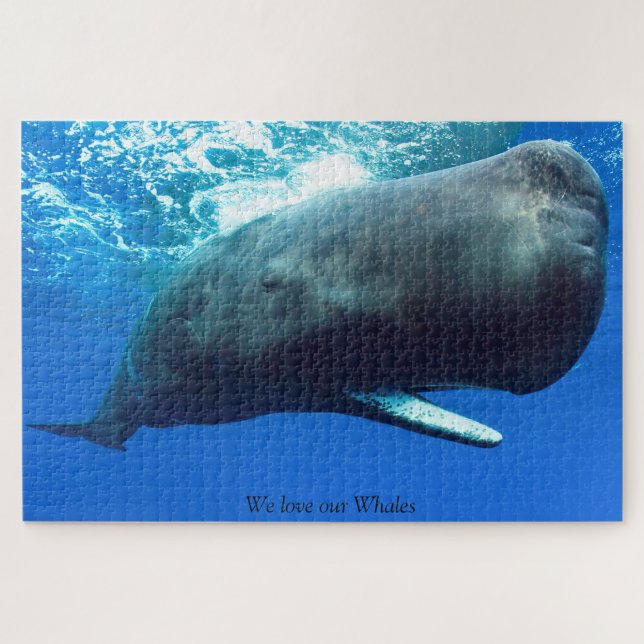 Puzzle Sperm Whale (Horizontal)