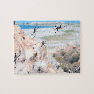 Puzzle Spider City - Ça traîne