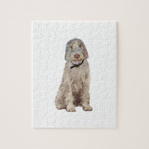 Puzzle Spinone Italien (A) - Roux