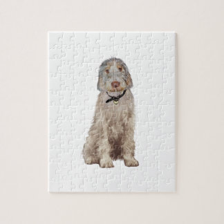 Puzzle Spinone Italienne (A) - Roue