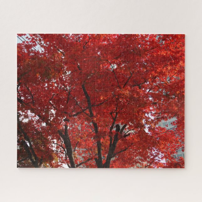 Puzzle Splendeur d'automne des Feuilles de l'arbre rouge (Horizontal)