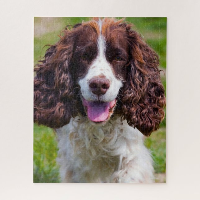 Puzzle Springer Spaniel Dog Jigsaws. (Vertical)