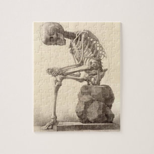 Puzzle squelettique anatomique vintage