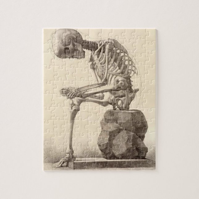 Puzzle squelettique anatomique vintage (Vertical)