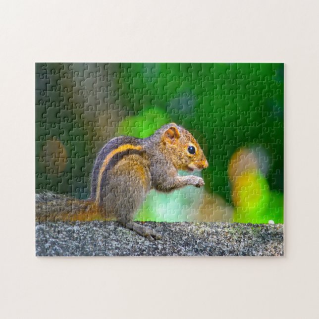 Puzzle Squirrel Sri Lanka (Horizontal)