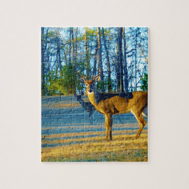Puzzle Stade / Buck Deer, Ciel bleu clair (Vertical)