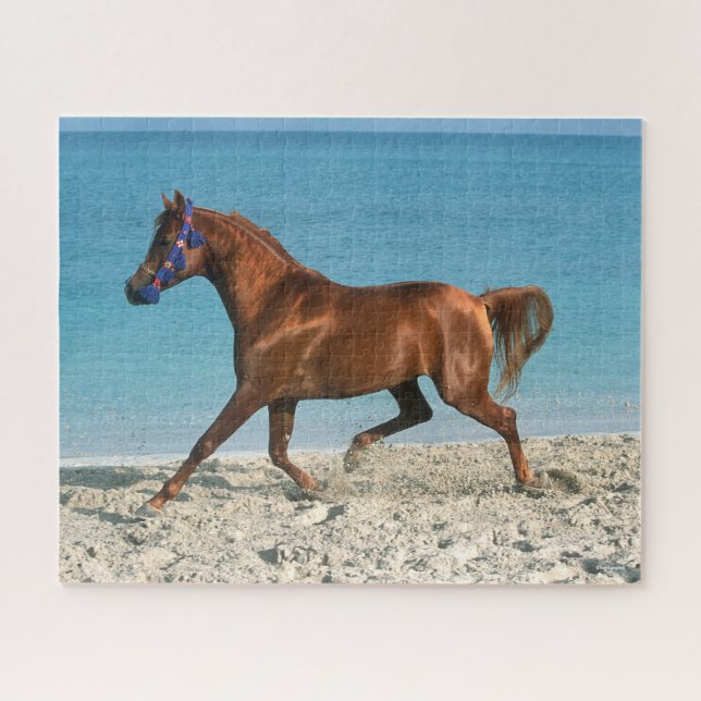 Puzzle Staline arabe châtaignier courir sur la plage (Horizontal)