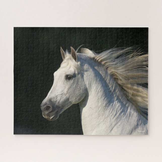 Puzzle Stallion andalou Casquette Mane Flow (Horizontal)
