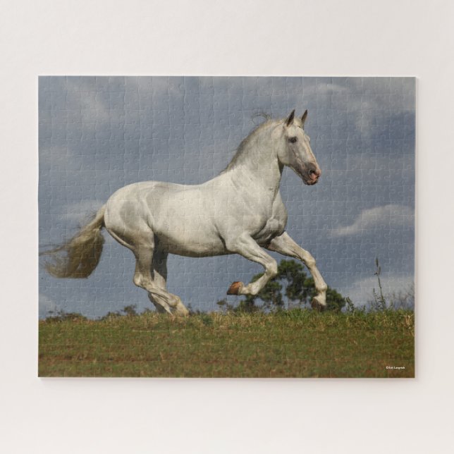 Puzzle Stallion andalou gris contre le ciel (Horizontal)