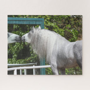 Puzzle Stallion Andalou Gris Regardant En Miroir